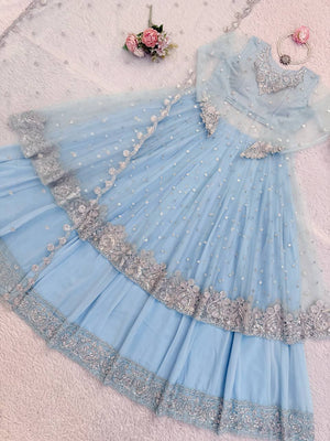Butterfly net dupatta with delicate embroidery detailing